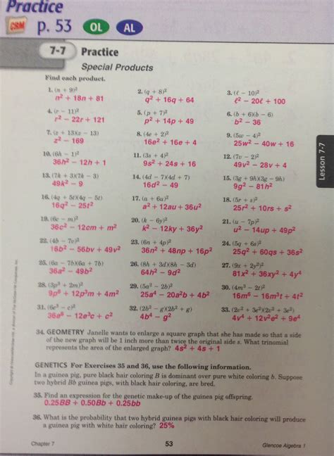 Prentice Hall Algebra Skills Practice 30 Answers Reader