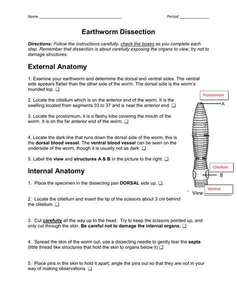 Prentice Hall Earthworm Dissection Answers Epub