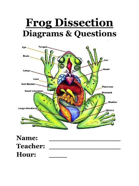 Prentice Hall Frog Dissection Answers Epub