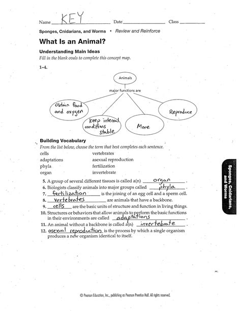 Prentice Hall Inc Science Worksheet Answers PDF