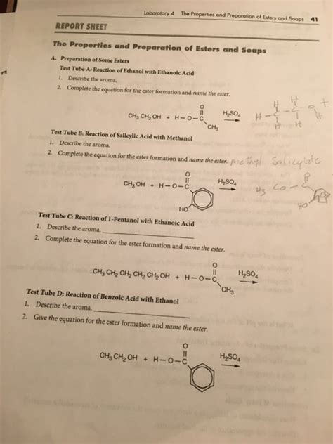 Preparation Of Esters Lab Answers PDF