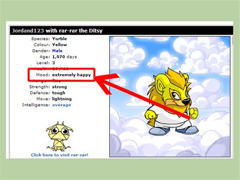 Prepare Your Neopet: