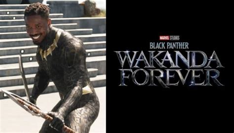 Prepare for the Epic Return of the Black Panther