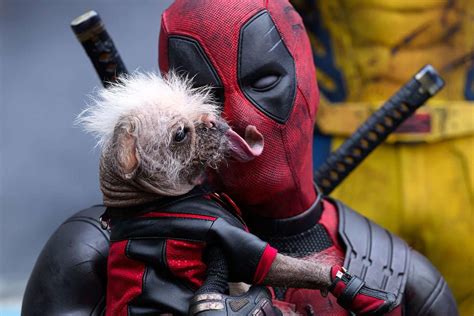 Prepare for the Unpawlievable: Dogpool Deadpool 3 Unleashes Tails of Canine Chaos