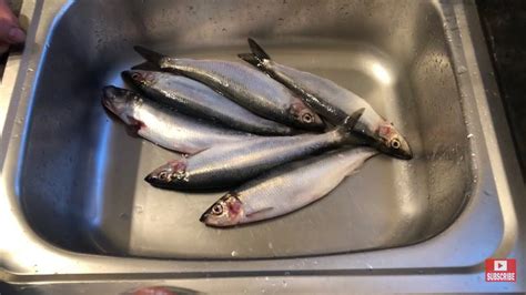 Prepare the Herring: