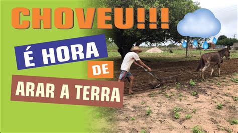 Prepare-se para Arar a Terra da Prosperidade com o Plough 777