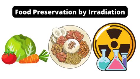 Preservation of Food by Ionizing Radiation Epub