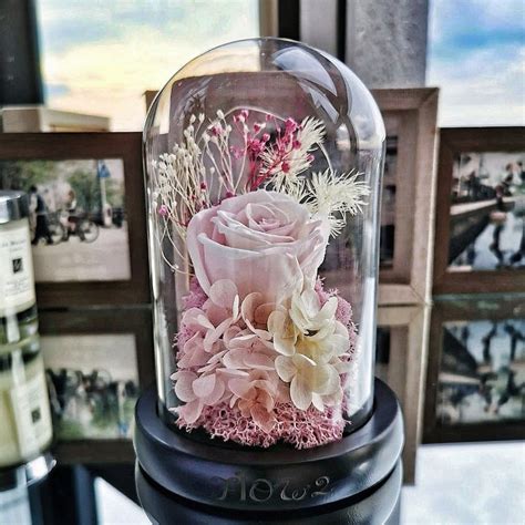 Preserved Flowers in Glass Domes: A Breathtaking 2025 Singapore Trend