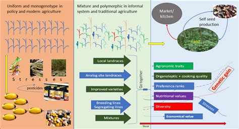 Preserving Genetic Diversity: