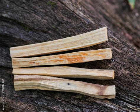 Preserving Palo Santo's Legacy