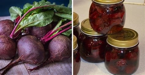 Preserving Vibrant Beetroots in Jars: A Canning Guide