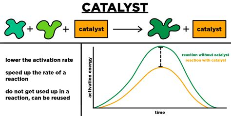 Pressure as a Catalyst for Growth