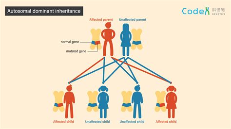 Prevalence and Inheritance Pattern