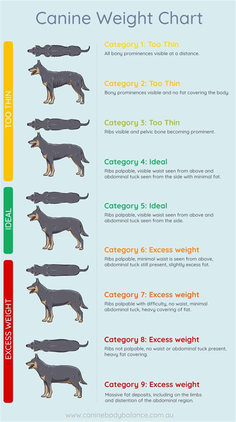 Prevalence of Canine Weight Issues: