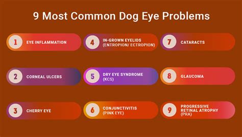 Prevalence of Dog Eye Problems