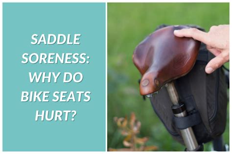 Preventing Saddle Soreness: