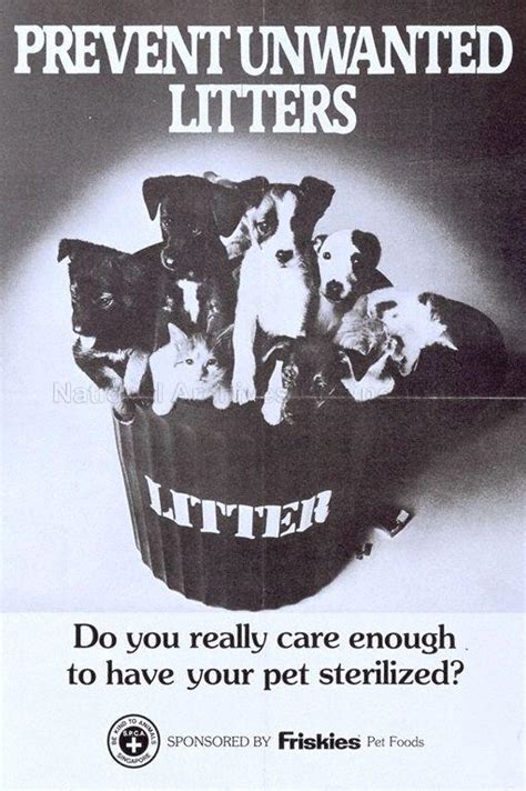 Prevents Unwanted Litters: