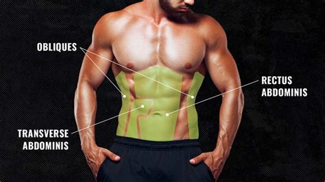 Price Abs: The Ultimate Guide to Getting Defined Abdominal Muscles