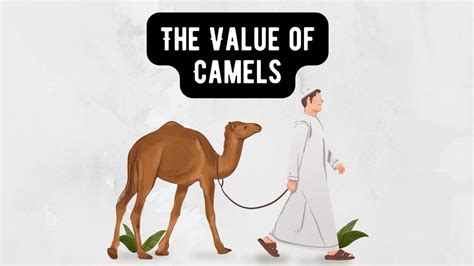 Price for Camel: A Comprehensive Guide to Understanding the Value of Camels