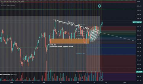 Price of STZ Stock: 2023 Outlook and Analysis