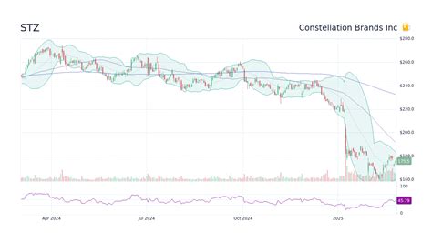 Price of STZ Stock: An In-Depth Analysis for 2023