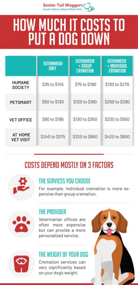 Price to Euthanize a Dog: The Ultimate Guide