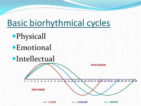 PrimalTime: Unlocking the Power of Biological Rhythms for Optimal Health and Performance