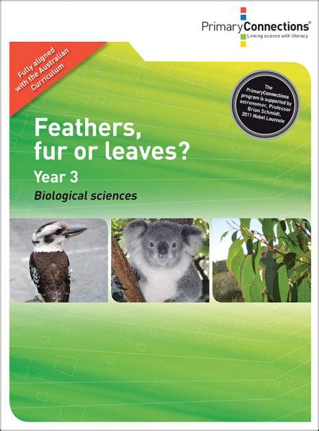 Primary Connections Feathers Fur Or Leaves Ebook PDF