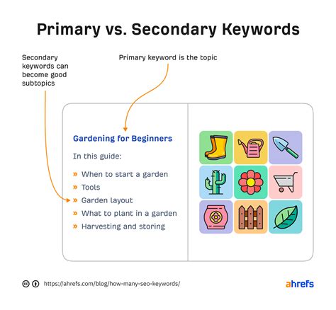 Primary Keywords