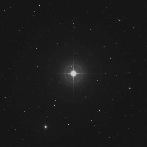 Primary Star (Delta Ceti A):