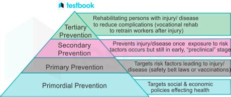 Primary and Secondary Levels: