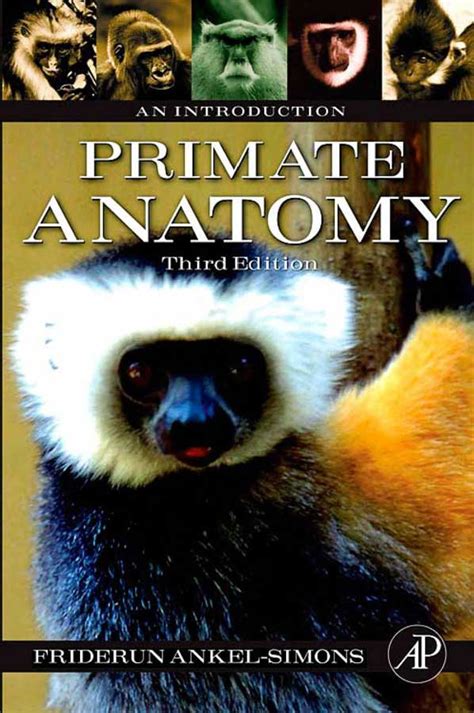 Primate Anatomy An Introduction 3rd Edition Epub