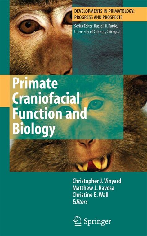 Primate Craniofacial Function and Biology 1st Edidtion Doc