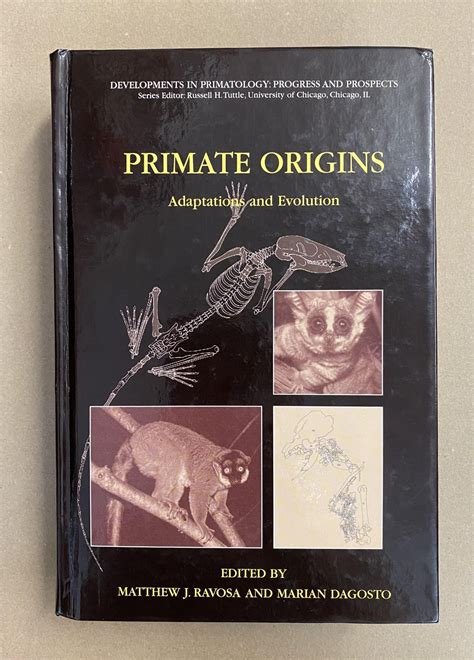 Primate Origins Adaptations and Evolution 1st Edition Epub