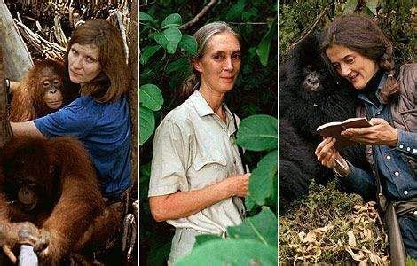 Primates The Fearless Science of Jane Goodall Dian Fossey and Biruté Galdikas Reader