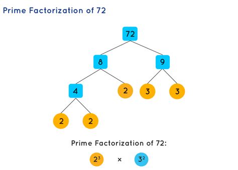 Prime Factorization: