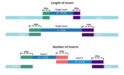 Primer Length: