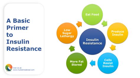 Primer on Insulin Resistance Kindle Editon