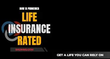 Primerica Life Insurance Payout: A Comprehensive Guide