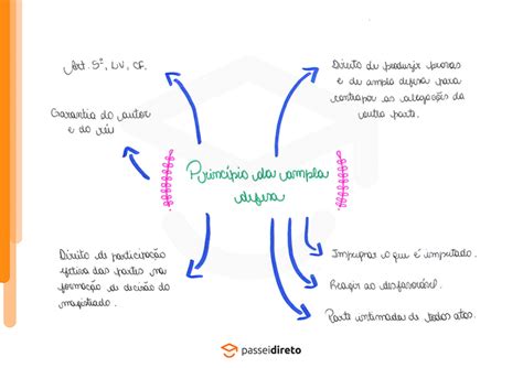 Princípio da Ampla Defesa