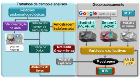 Princípios da Metodologia MDT