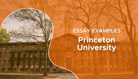 Princeton Requiring English Essay