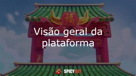 Principais Características da Plataforma Spicy Bet