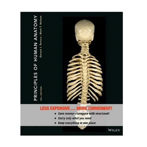 Principles of Anatomy and Physiology 13th Edition Binder Ready Version Epub