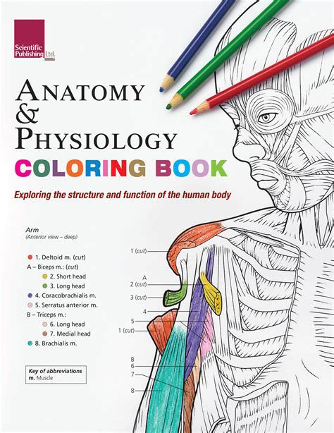 Principles of Anatomy and Physiology WITH Coloring Book Photographic Atlas Epub