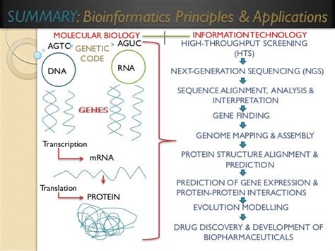 Principles of Bioinformatics Epub