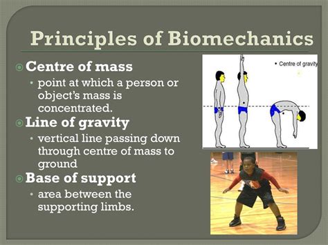 Principles of Biomechanics & PDF