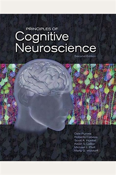 Principles of Cognitive Neuroscience Doc