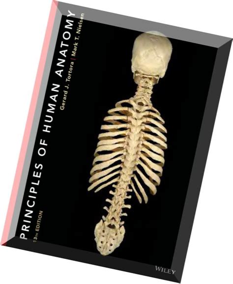 Principles of Human Anatomy (13th Edition).rar Ebook Kindle Editon