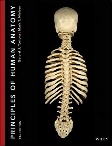 Principles of Human Anatomy (13th Edition).rar Ebook Kindle Editon